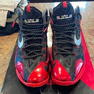 Lightly worn LEBRON XI size 12